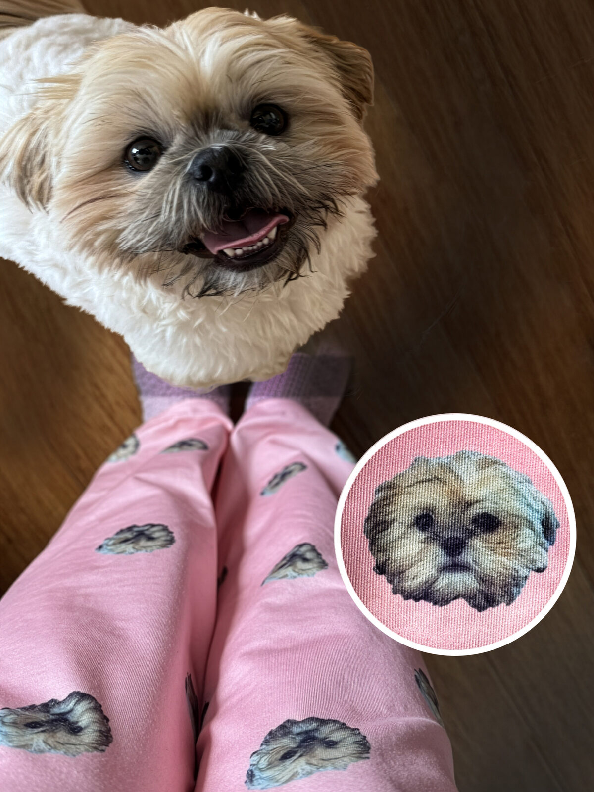 BooBoo wearing pajama pants printed with his own face